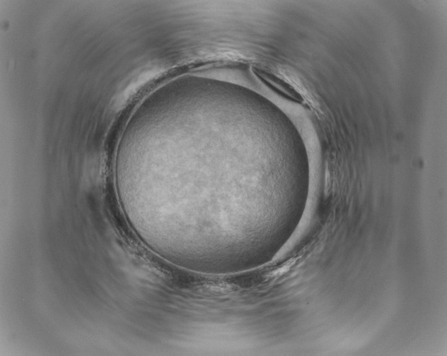 X0000088600583200705251216