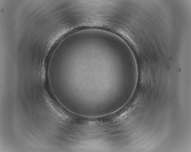 X0000088600584200705251216