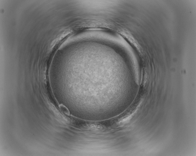 X0000088600585200705251216