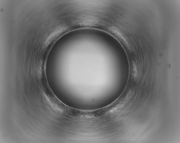 X0000088600586200705251216