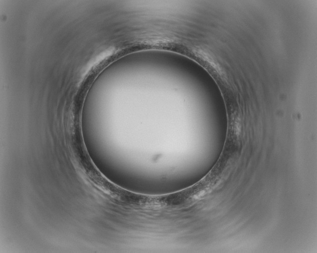 X0000088600587200705251216