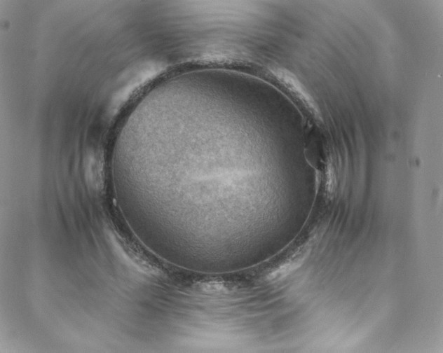 X0000088600588200705251216