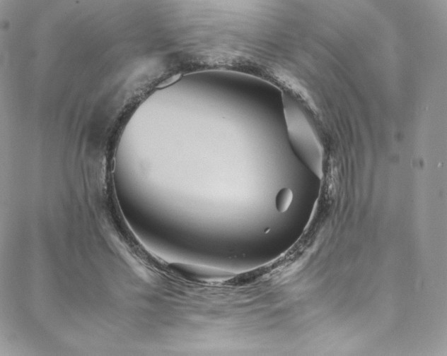 X0000088600589200705251216