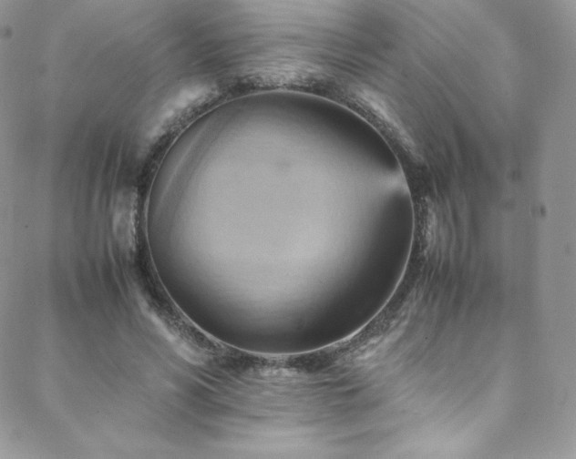 X0000088600590200705251216