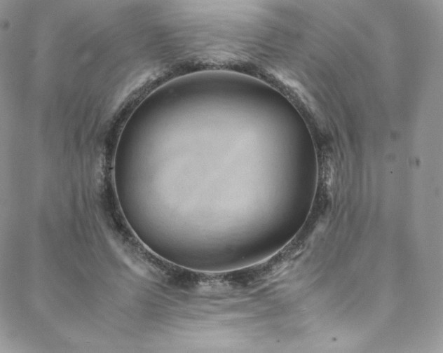 X0000088600591200705251216