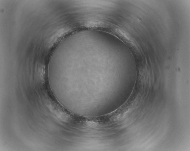 X0000088600592200705251216