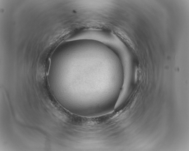 X0000088600593200705251216