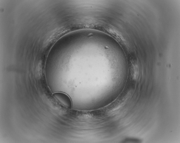 X0000088600594200705251216