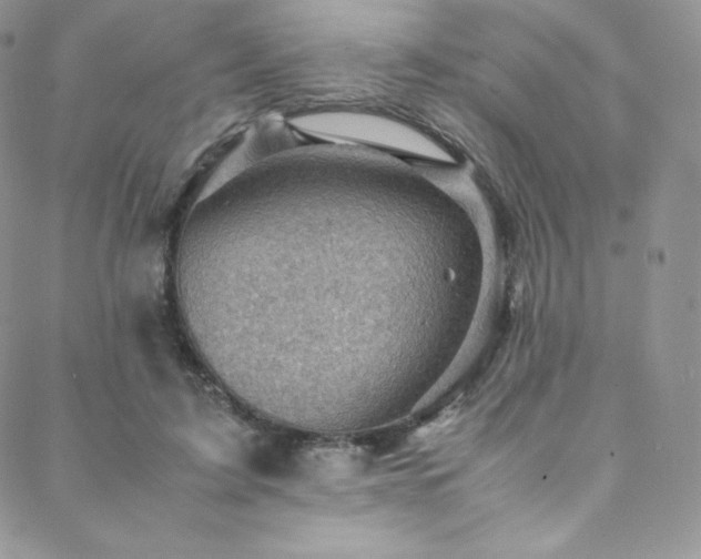 X0000088600595200705251216