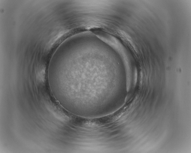 X0000088600596200705251216