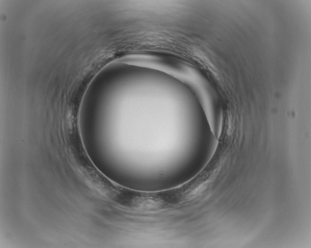 X0000088600597200705251216