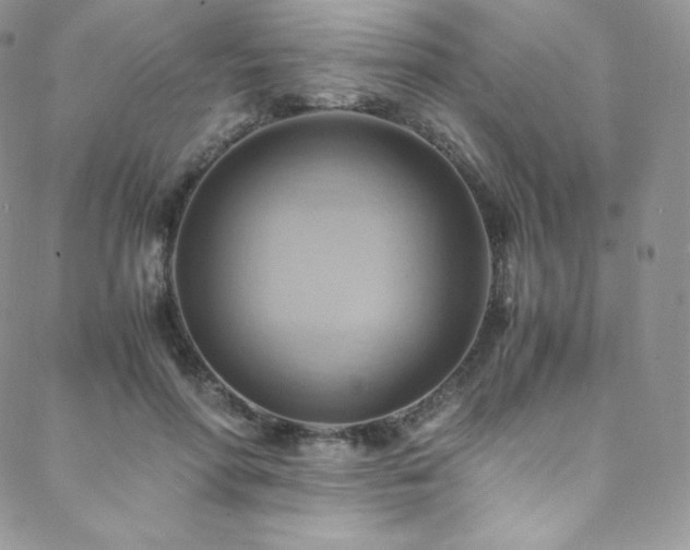 X0000088600598200705251216