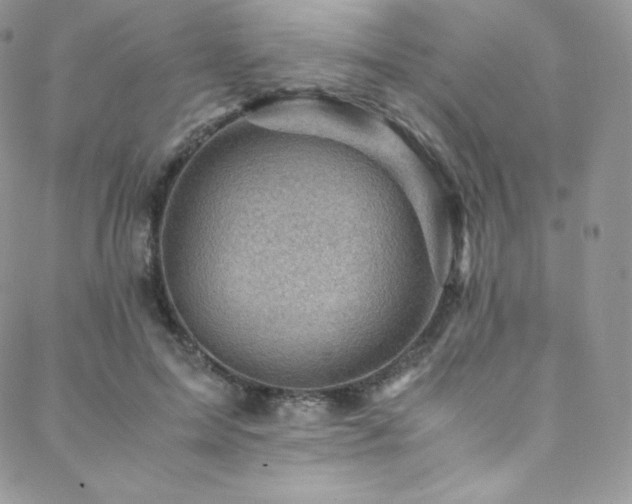 X0000088600599200705251216