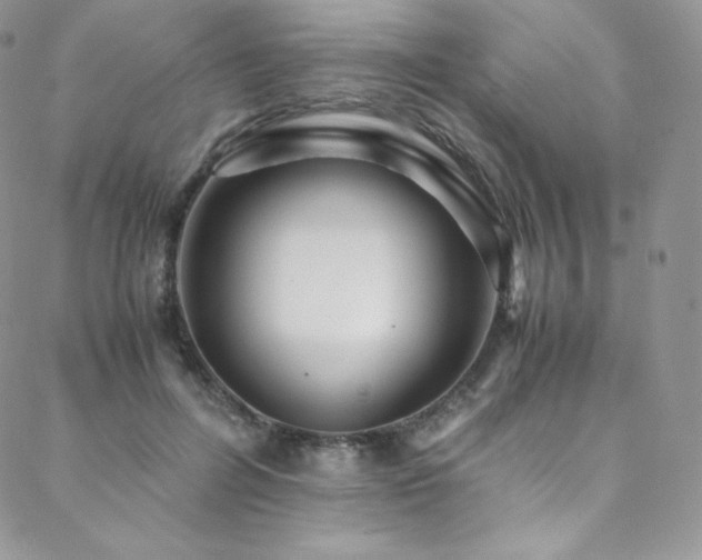 X0000088600600200705251216