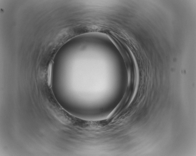 X0000088600601200705251216