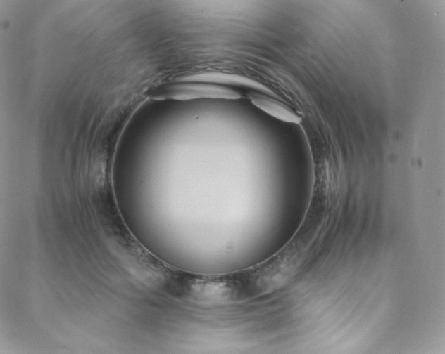 X0000088600602200705251216