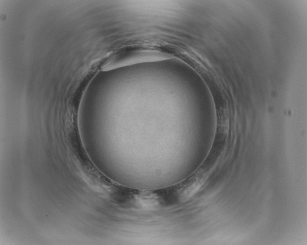 X0000088600603200705251216