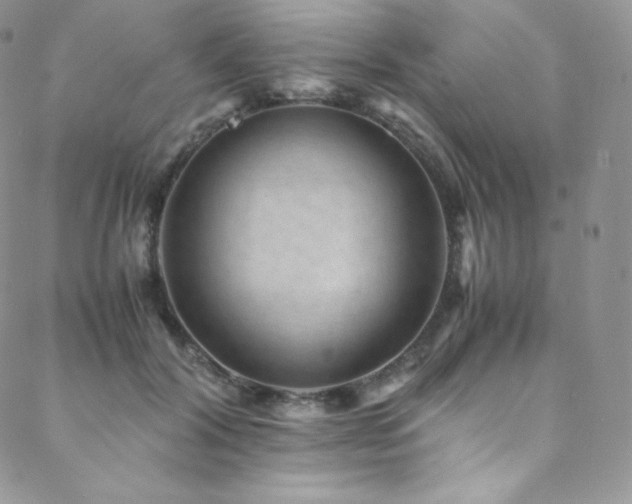 X0000088600604200705251216