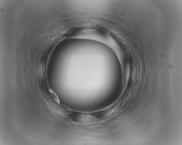 X0000088600605200705251216