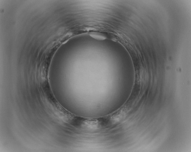 X0000088600606200705251216