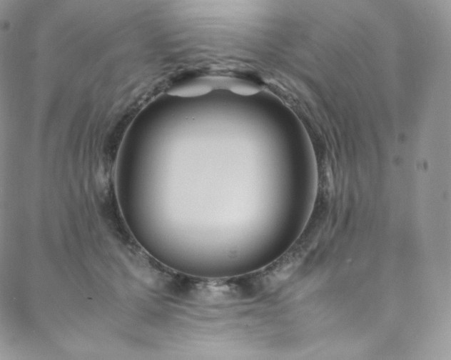 X0000088600607200705251216