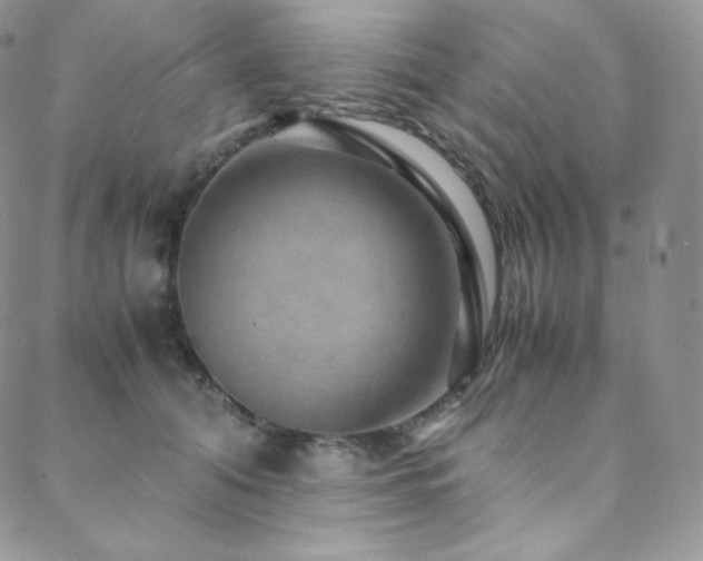 X0000088600608200705251216