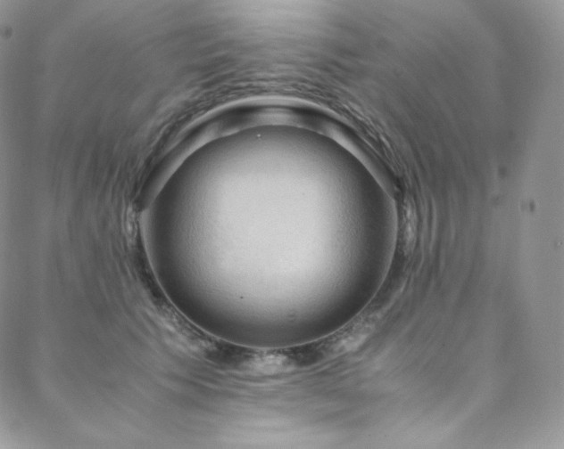 X0000088600609200705251216