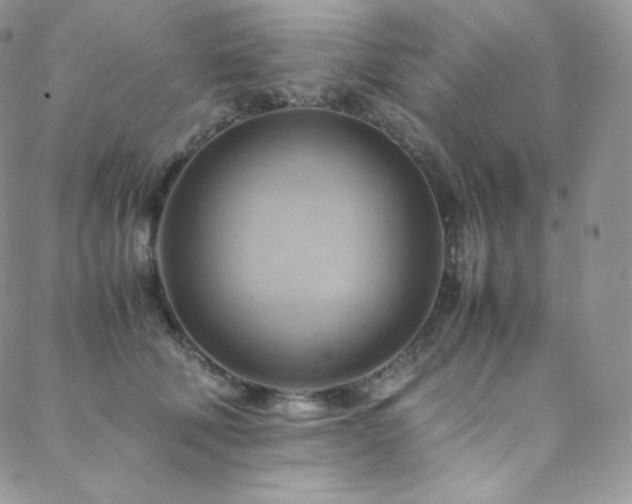 X0000088600610200705251216