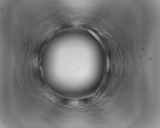 X0000088600611200705251216