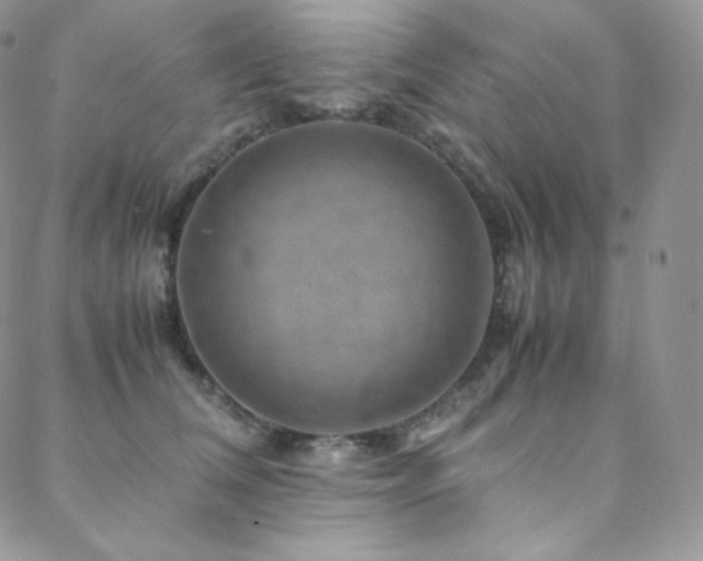 X0000088600612200705251216