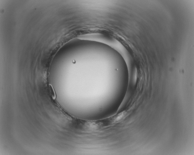 X0000088600613200705251216