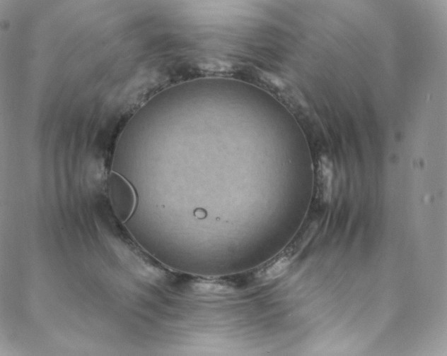 X0000088600614200705251216