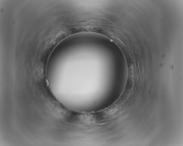 X0000088600615200705251216