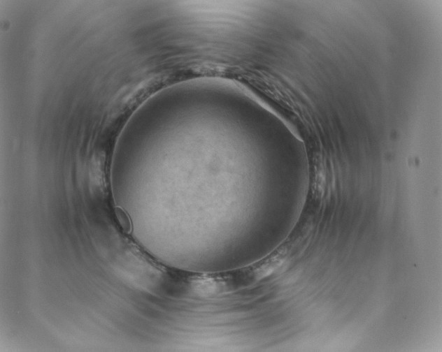 X0000088600616200705251216