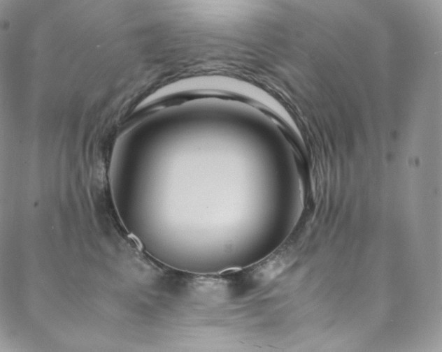 X0000088600617200705251216