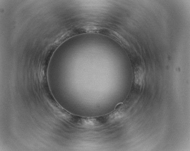 X0000088600618200705251216