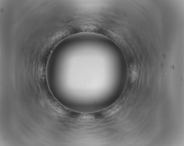 X0000088600619200705251216