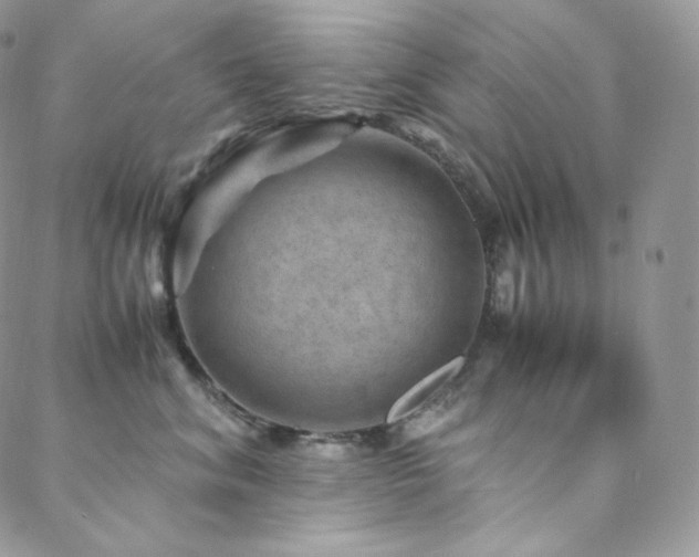 X0000088600620200705251216