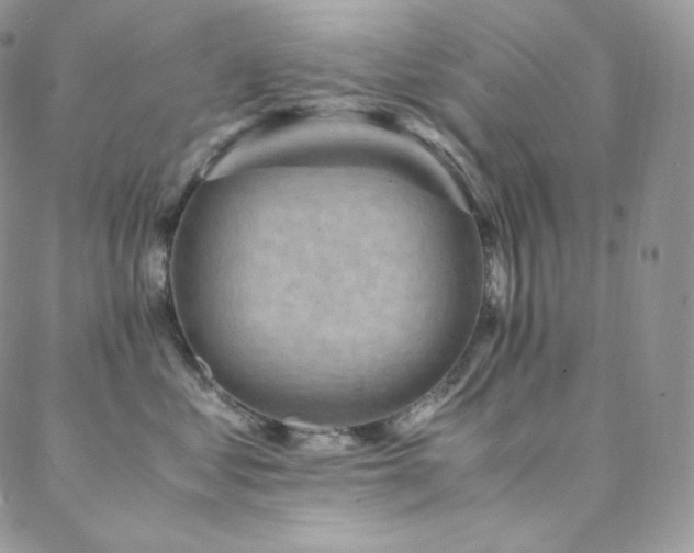 X0000088600621200705251216