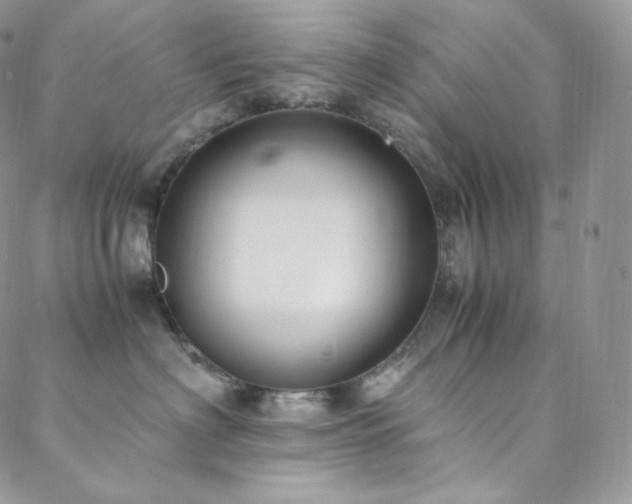 X0000088600622200705251216