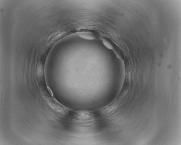 X0000088600623200705251215