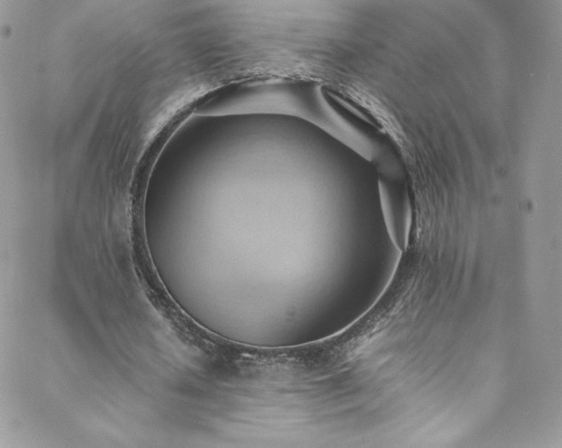 X0000088600626200705251215