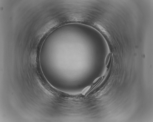 X0000088600627200705251215