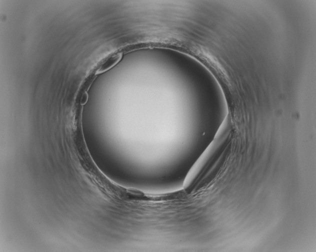 X0000088600628200705251215