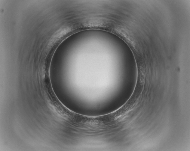 X0000088600631200705251215