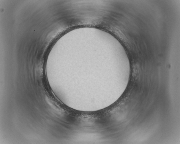 X0000088600632200705251215