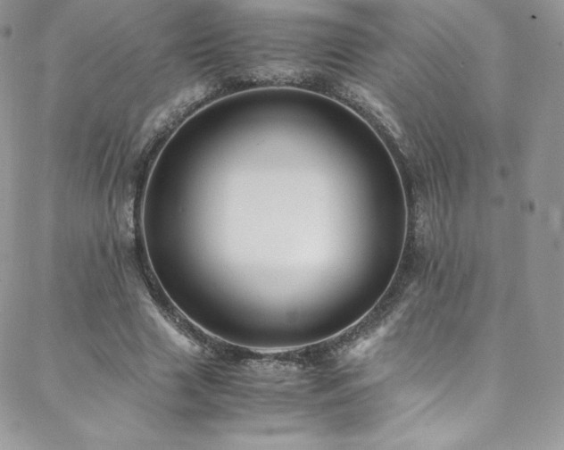 X0000088600633200705251215