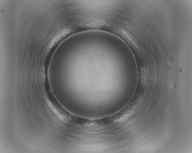 X0000088600634200705251215