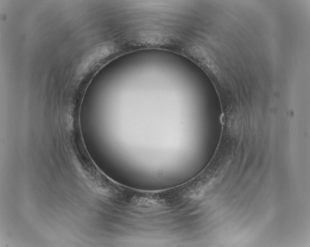 X0000088600635200705251215