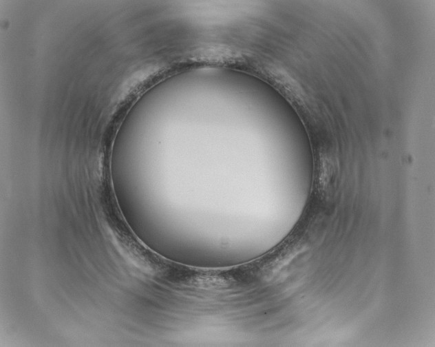 X0000088600636200705251215